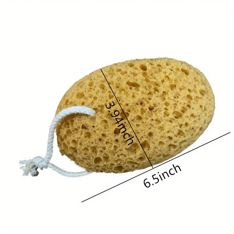 Natural Seaweed Bath Sponge – Honeycomb Texture for Gentle Exfoliation & Full Body Care